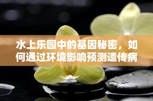 水上乐园中的基因秘密，如何通过环境影响预测遗传病风险？
