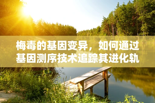 梅毒的基因变异，如何通过基因测序技术追踪其进化轨迹？