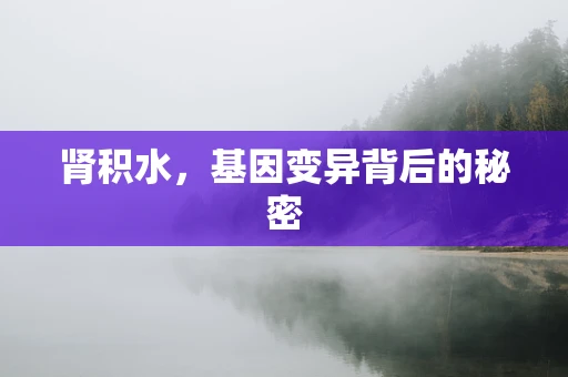 肾积水，基因变异背后的秘密