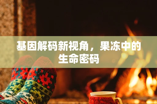 基因解码新视角，果冻中的生命密码
