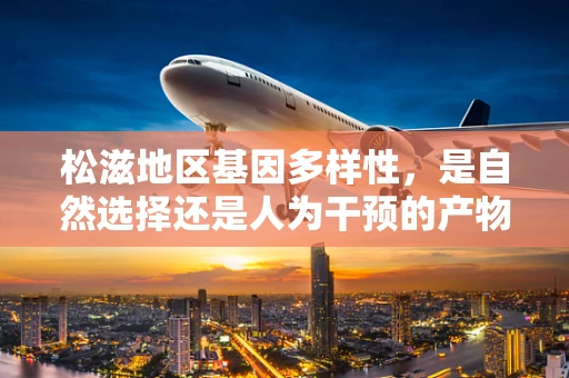 松滋地区基因多样性，是自然选择还是人为干预的产物？