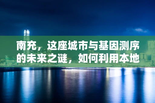 南充，这座城市与基因测序的未来之谜，如何利用本地资源推动精准医疗发展？