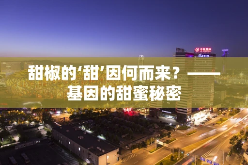 甜椒的‘甜’因何而来？——基因的甜蜜秘密