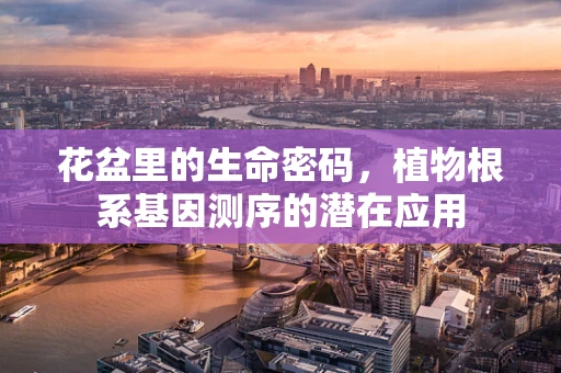 花盆里的生命密码，植物根系基因测序的潜在应用