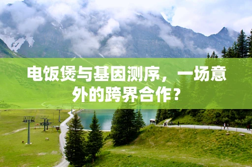 电饭煲与基因测序，一场意外的跨界合作？