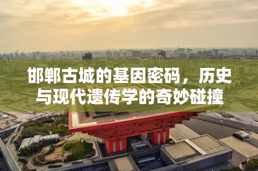 邯郸古城的基因密码，历史与现代遗传学的奇妙碰撞