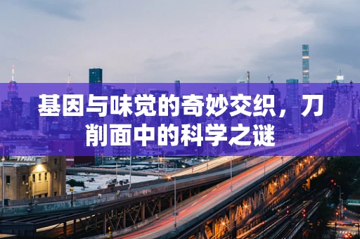 基因与味觉的奇妙交织，刀削面中的科学之谜