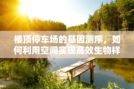 楼顶停车场的基因测序，如何利用空间实现高效生物样本存储？