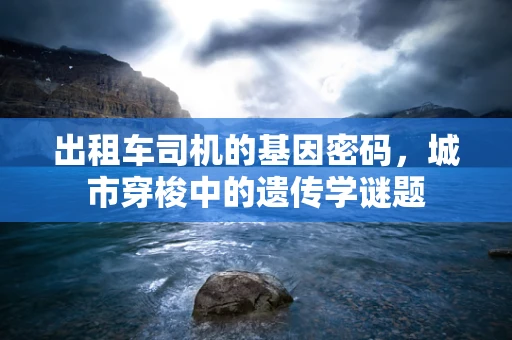 出租车司机的基因密码，城市穿梭中的遗传学谜题