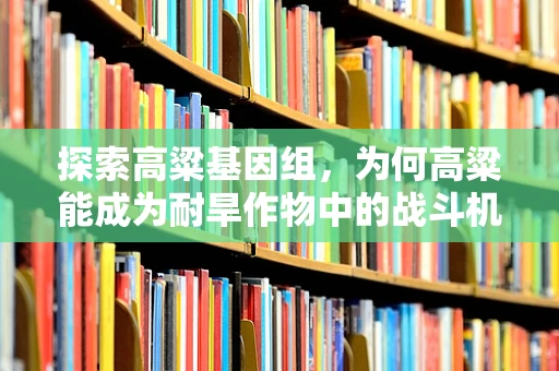 探索高粱基因组，为何高粱能成为耐旱作物中的战斗机？