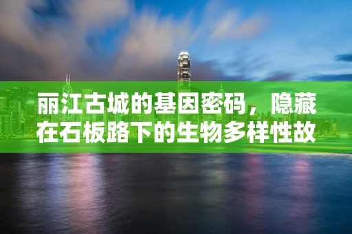 丽江古城的基因密码，隐藏在石板路下的生物多样性故事