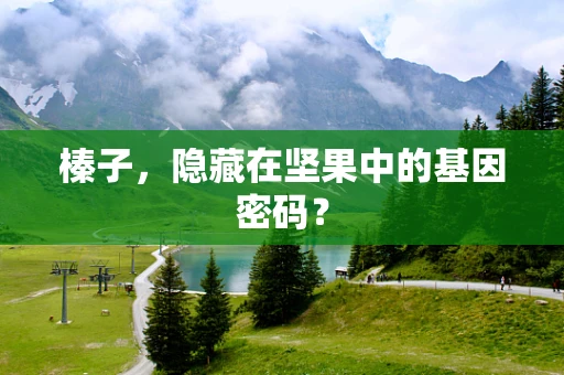 榛子，隐藏在坚果中的基因密码？