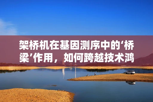 架桥机在基因测序中的‘桥梁’作用，如何跨越技术鸿沟？