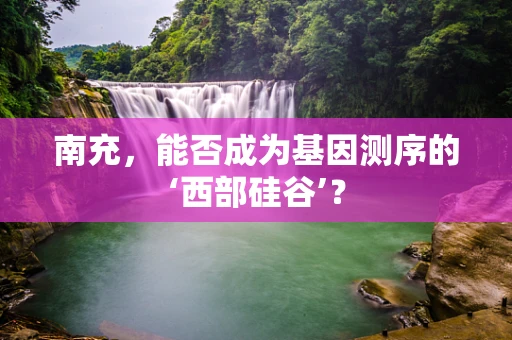 南充，能否成为基因测序的‘西部硅谷’？