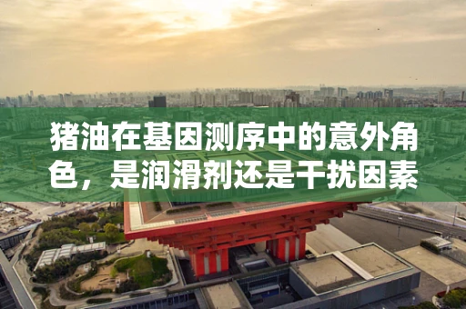 猪油在基因测序中的意外角色，是润滑剂还是干扰因素？