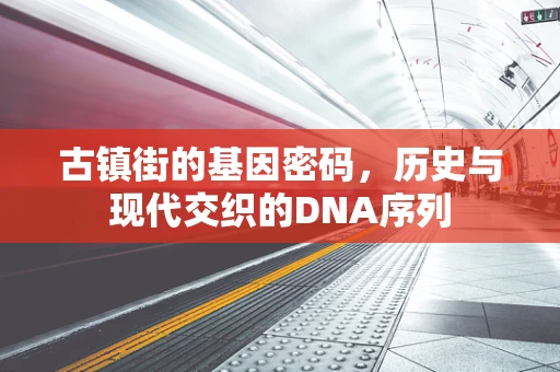 古镇街的基因密码，历史与现代交织的DNA序列