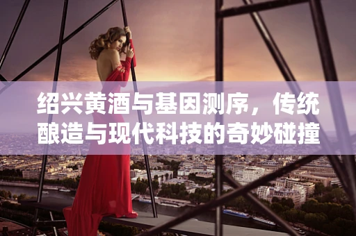 绍兴黄酒与基因测序，传统酿造与现代科技的奇妙碰撞