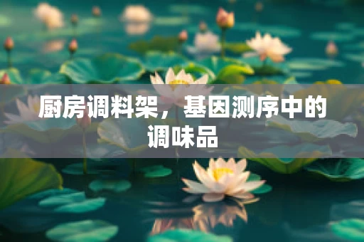 厨房调料架，基因测序中的调味品