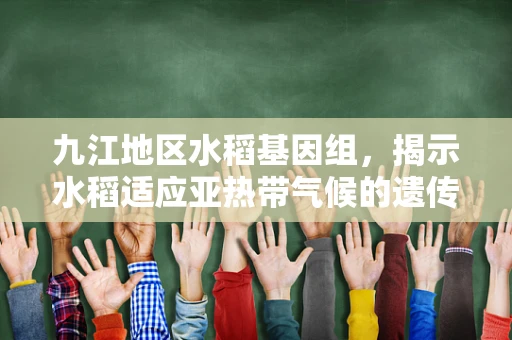 九江地区水稻基因组，揭示水稻适应亚热带气候的遗传密码？