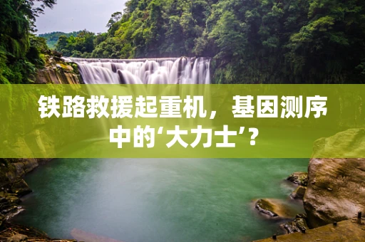 铁路救援起重机，基因测序中的‘大力士’？