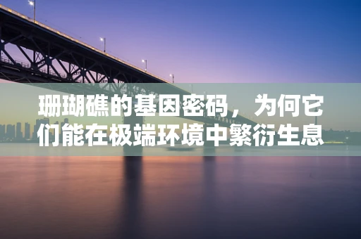 珊瑚礁的基因密码，为何它们能在极端环境中繁衍生息？