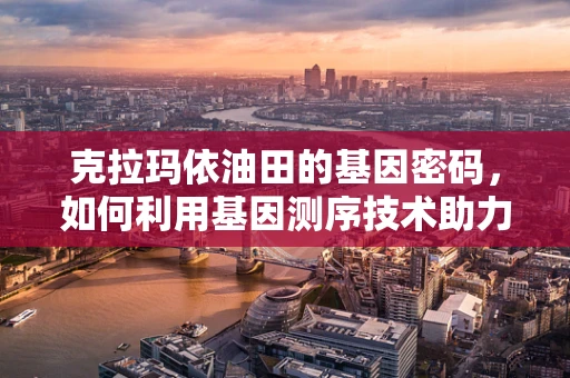 克拉玛依油田的基因密码，如何利用基因测序技术助力石油勘探？