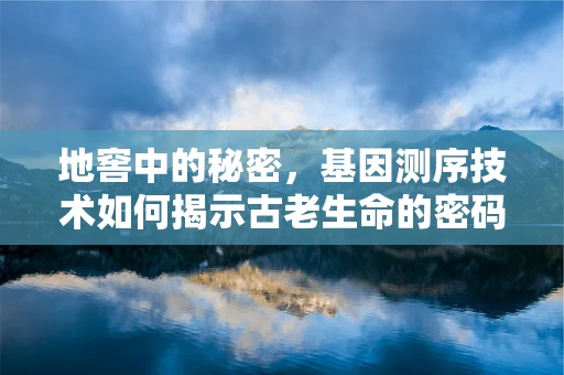 地窖中的秘密，基因测序技术如何揭示古老生命的密码？
