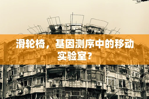 滑轮椅，基因测序中的移动实验室？
