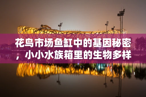花鸟市场鱼缸中的基因秘密，小小水族箱里的生物多样性探索
