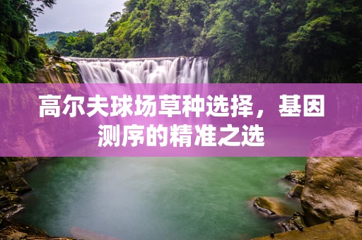 高尔夫球场草种选择，基因测序的精准之选