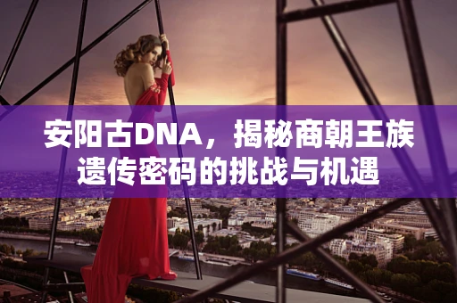 安阳古DNA，揭秘商朝王族遗传密码的挑战与机遇