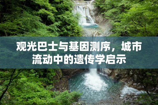 观光巴士与基因测序，城市流动中的遗传学启示