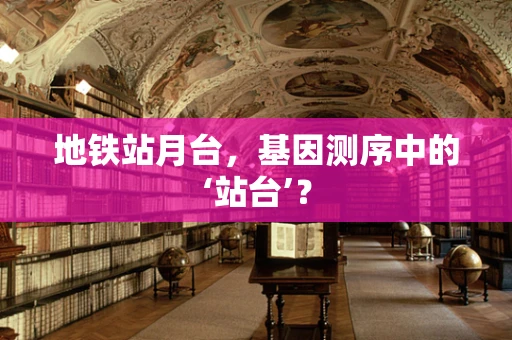 地铁站月台，基因测序中的‘站台’？