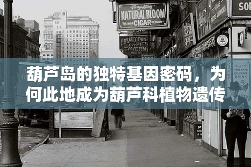 葫芦岛的独特基因密码，为何此地成为葫芦科植物遗传研究的‘金矿’？