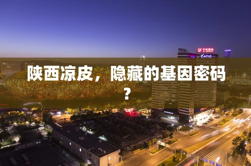 陕西凉皮，隐藏的基因密码？