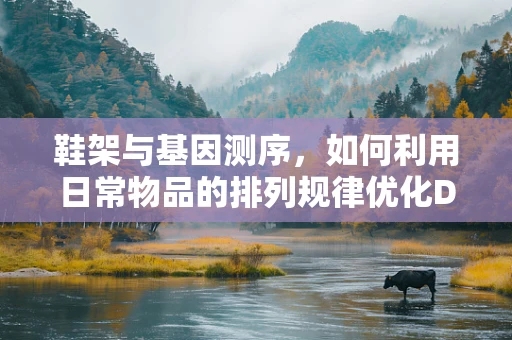 鞋架与基因测序，如何利用日常物品的排列规律优化DNA序列分析？