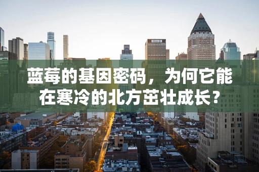蓝莓的基因密码，为何它能在寒冷的北方茁壮成长？