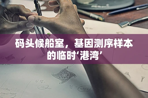 码头候船室，基因测序样本的临时‘港湾’