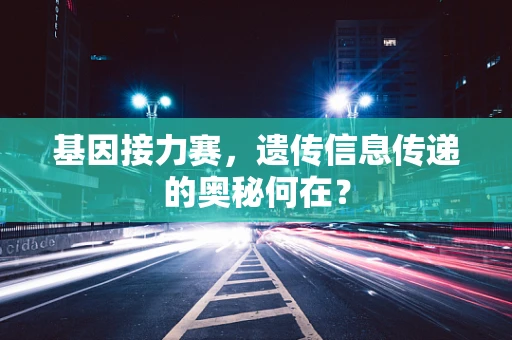 基因接力赛，遗传信息传递的奥秘何在？