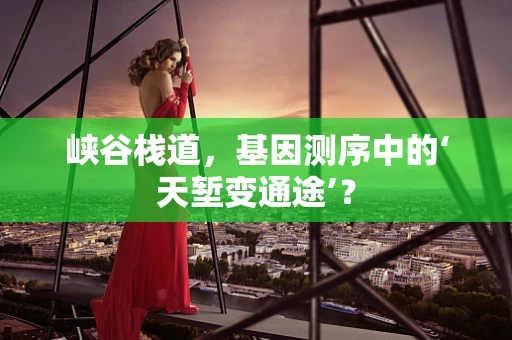 峡谷栈道，基因测序中的‘天堑变通途’？