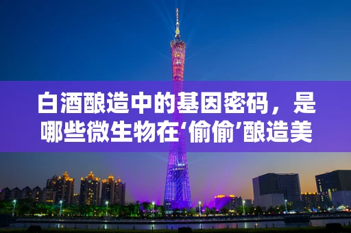 白酒酿造中的基因密码，是哪些微生物在‘偷偷’酿造美酒？