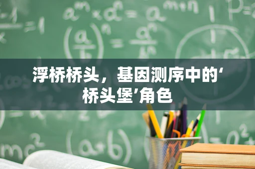 浮桥桥头，基因测序中的‘桥头堡’角色