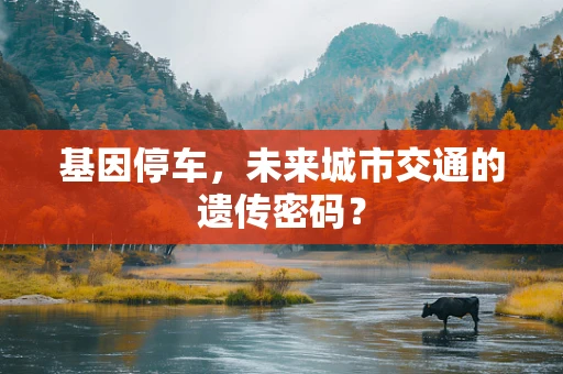基因停车，未来城市交通的遗传密码？