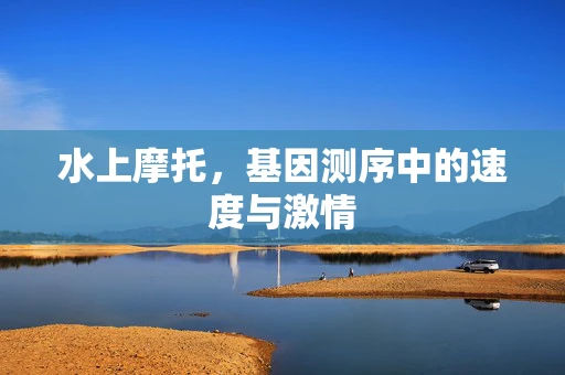 水上摩托，基因测序中的速度与激情