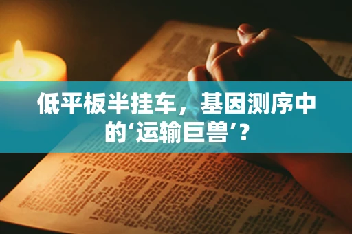 低平板半挂车，基因测序中的‘运输巨兽’？