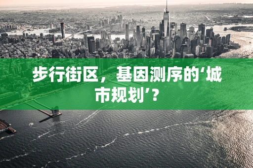 步行街区，基因测序的‘城市规划’？