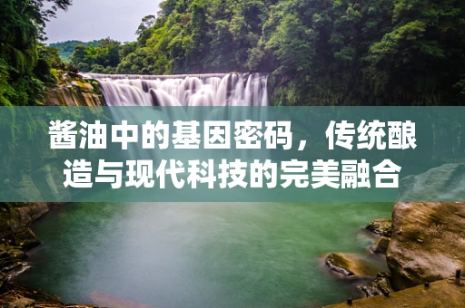 酱油中的基因密码，传统酿造与现代科技的完美融合