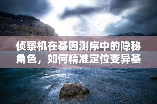 侦察机在基因测序中的隐秘角色，如何精准定位变异基因？
