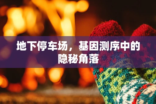 地下停车场，基因测序中的隐秘角落
