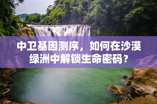 中卫基因测序，如何在沙漠绿洲中解锁生命密码？